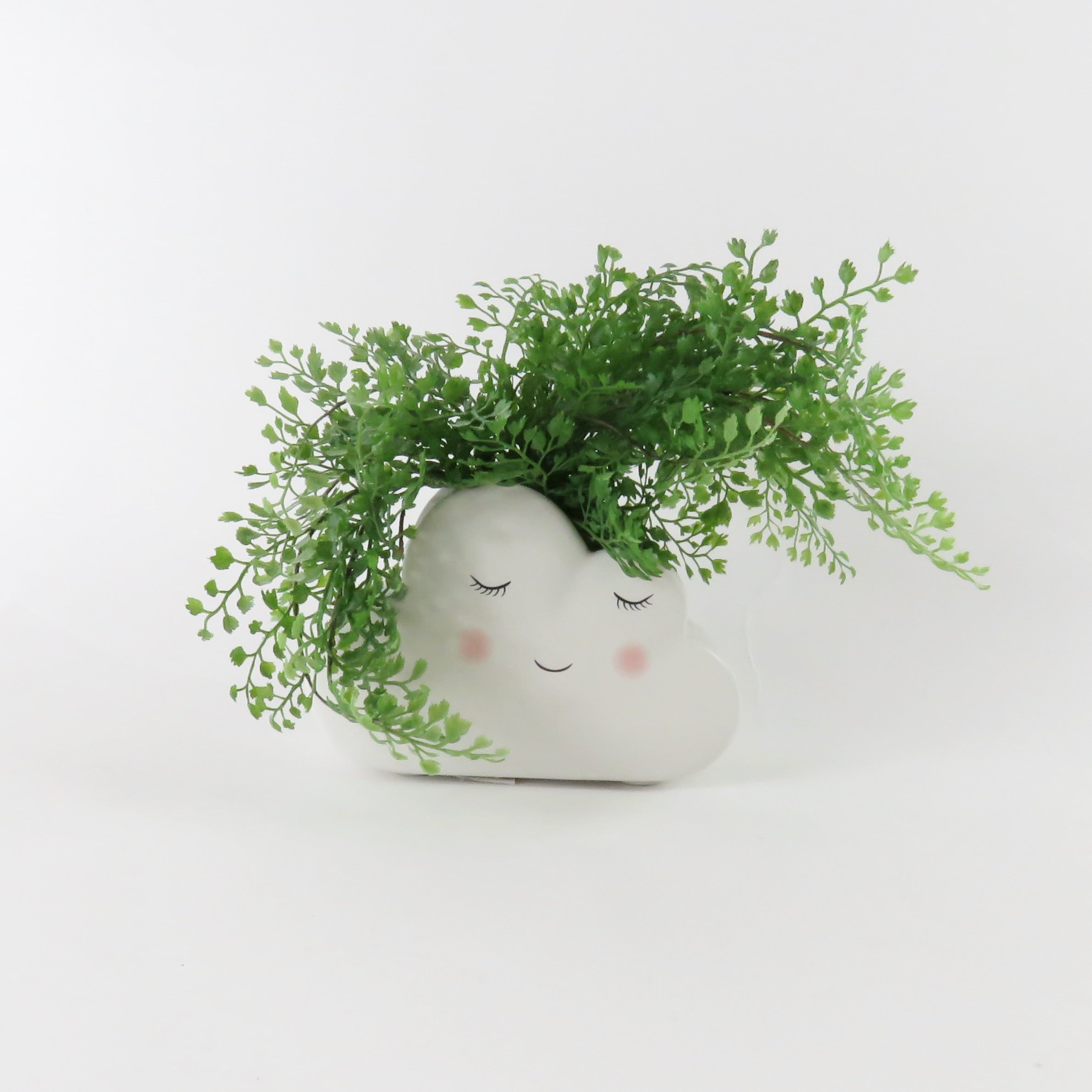 Cloud Planter