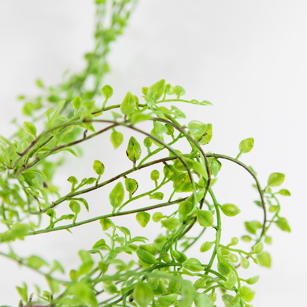 Faux Indoor Hanging Vines