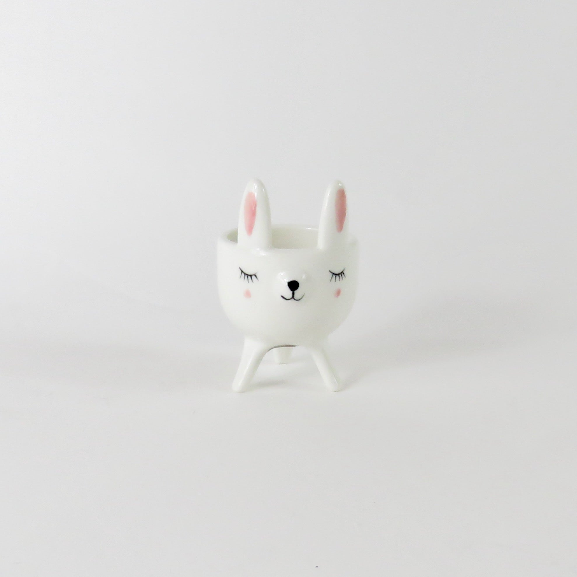 Mini Rabbit Planter