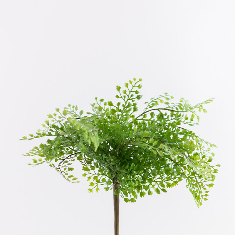 Faux Maiden Hair Fern