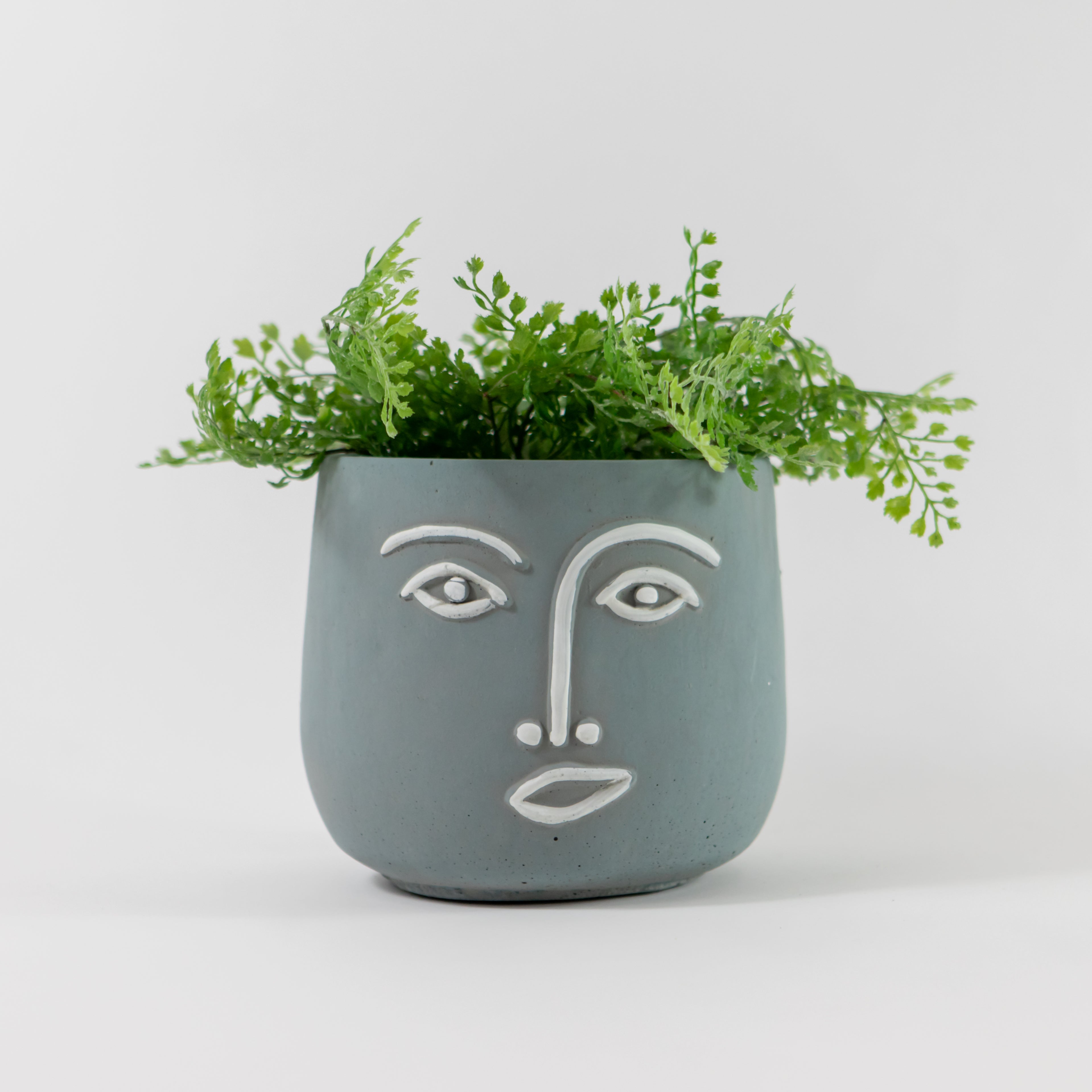 Face Planter Blue and White